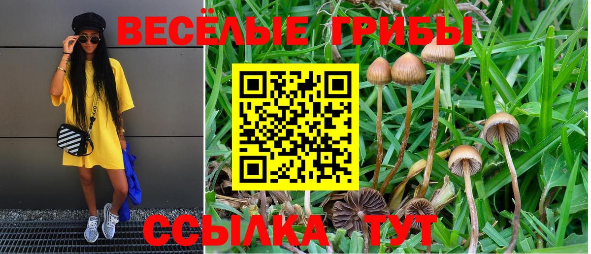 Псилоцибиновые грибы мицелий  Вход с VPN  Сатка 
